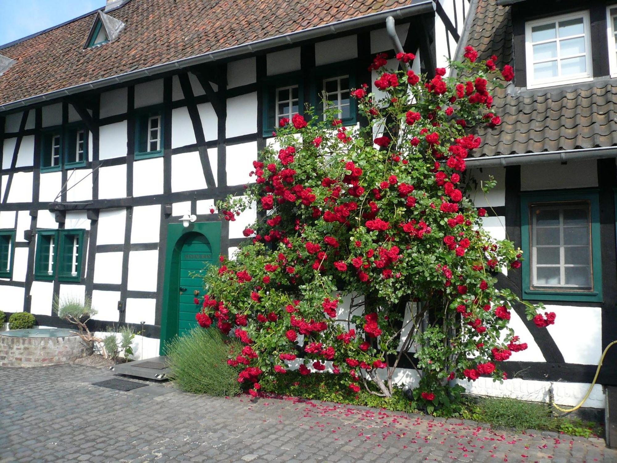 Falderhof Kolín nad Rýnem Exteriér fotografie